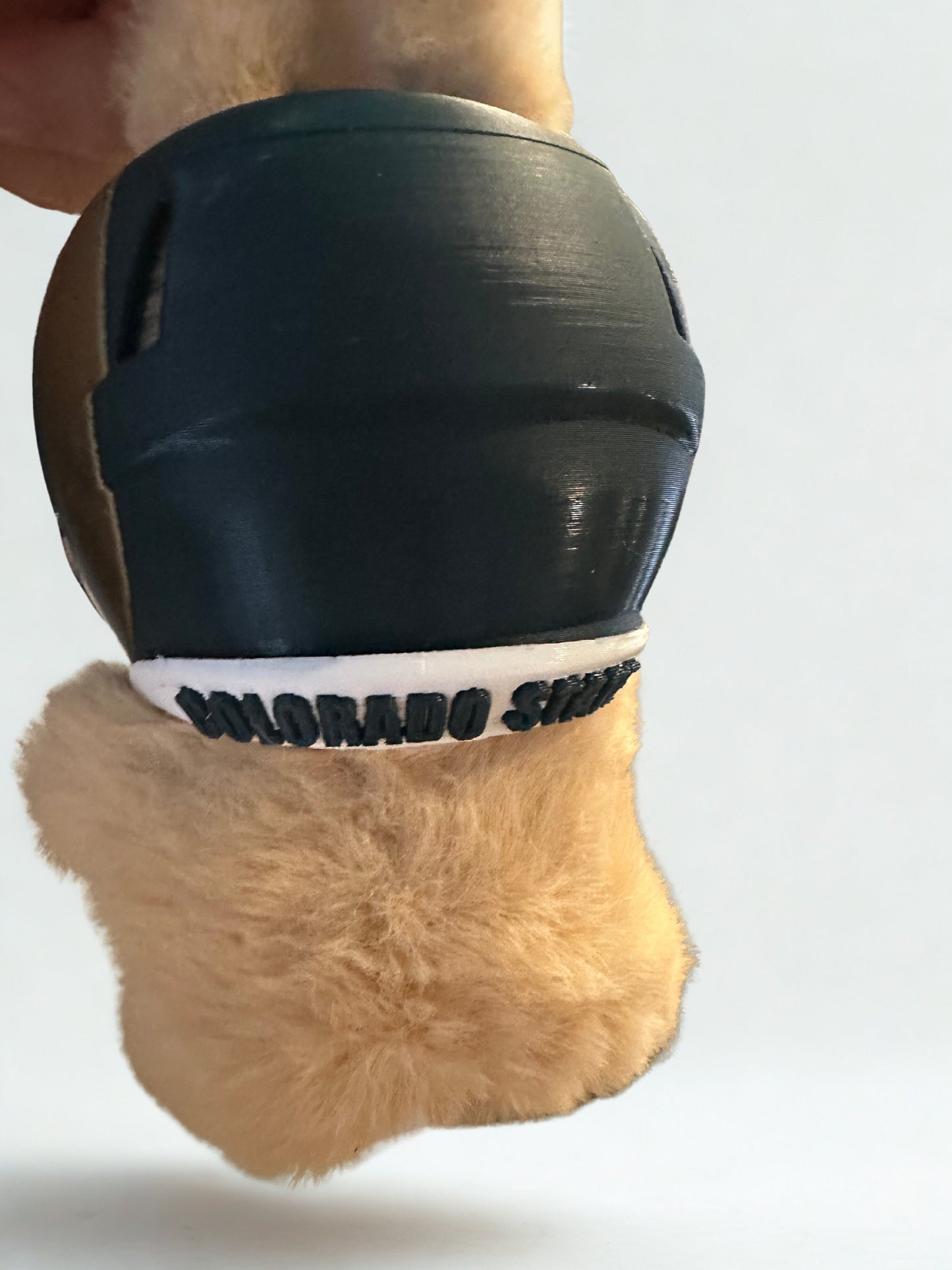 Inspired by NCAA - Colorado State University Football Helmet