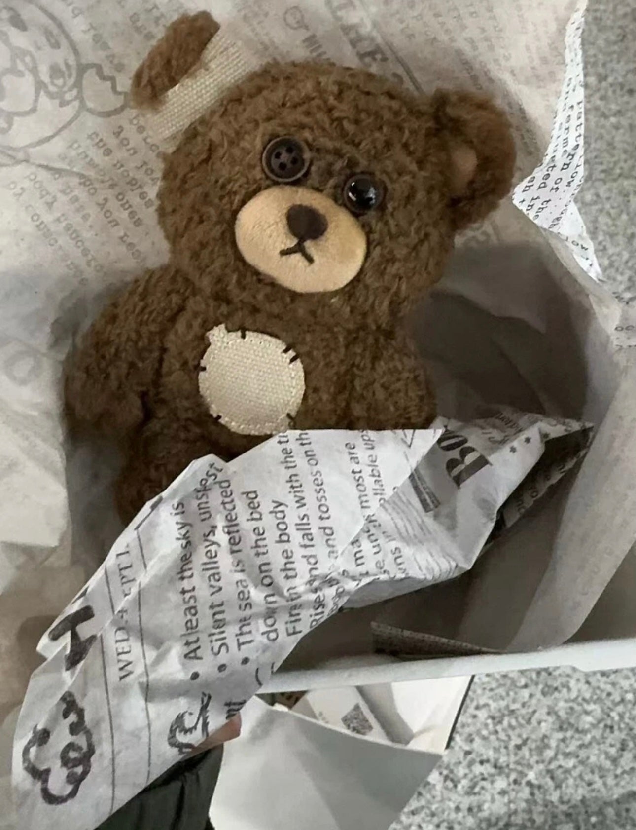 “Hirono Bear Plush – Shanghai Store Exclusive (Limited Edition)”