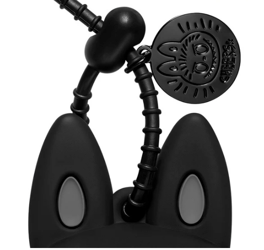 POPMART The Monsters 10th Anniversary Series Earphone Case